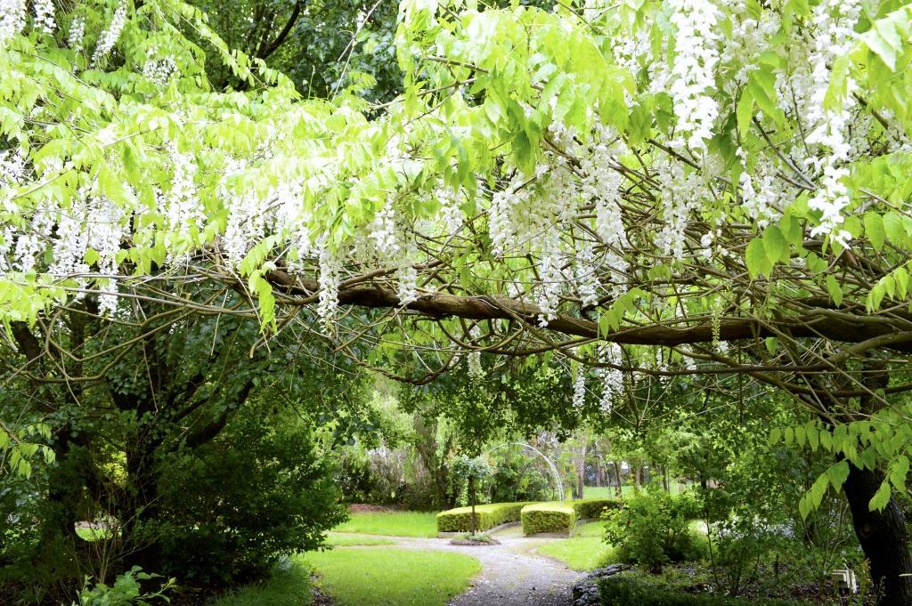 Lakeside Cottage Luxury B&B Mount Dandenong Bagian luar foto