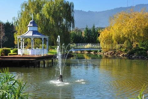 Lakeside Cottage Luxury B&B Mount Dandenong Bagian luar foto